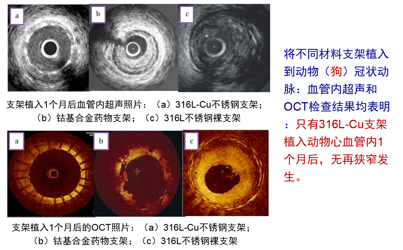 微信截图_20230212225137.png